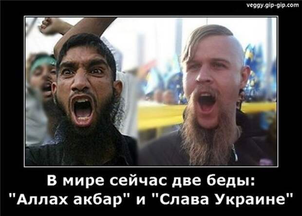 94f84d47a01f.jpg