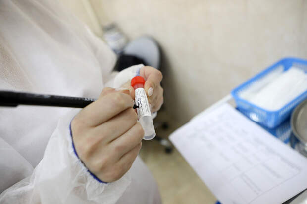 Свыше 19 тысяч новых случаев коронавируса выявили в России за сутки