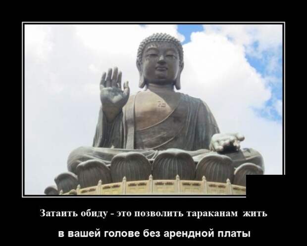 Демотиваторы 11 июня 2021 года