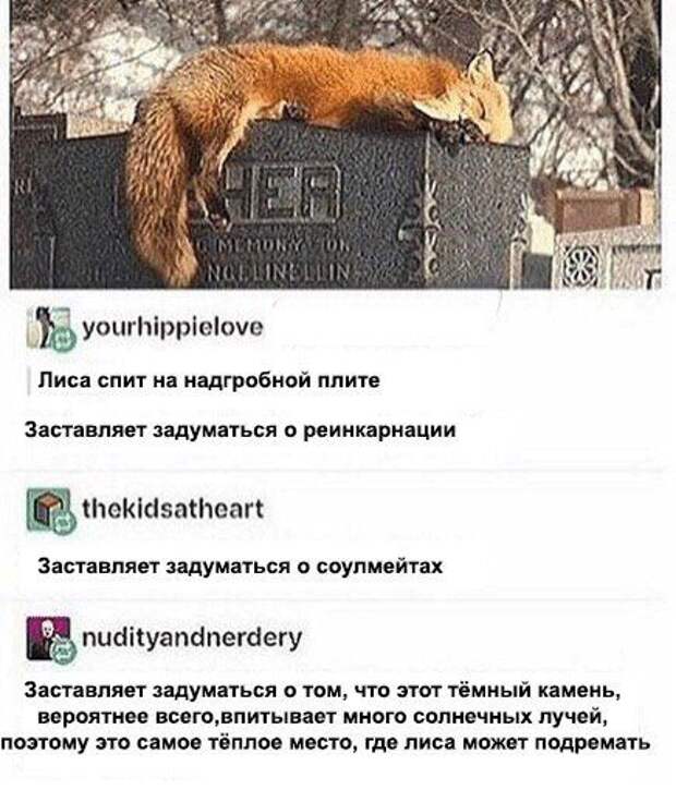 Подборка картинок. Дневной выпуск (53 фото)