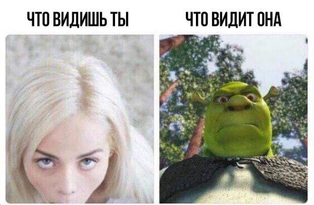 смешные картинки с надписями