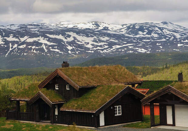 Необычные норвежские крыши из травы