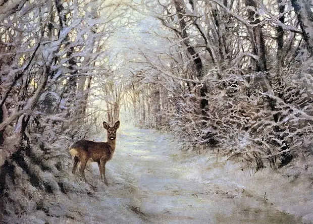 �������� ��� ���������.