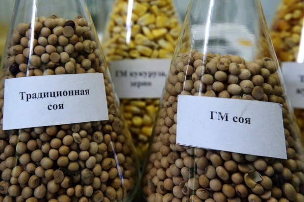 источник фото яндекс картинки