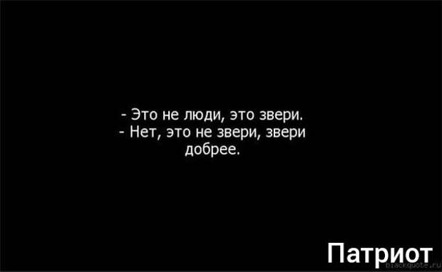Фото из открытых источников 
