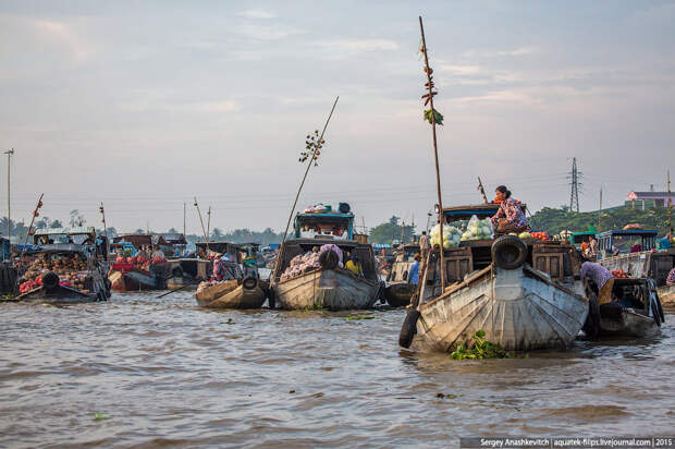 Vietnam