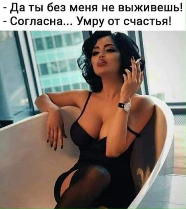 Ищу умную, красивую, ухоженную, сексуальную, заботливую девушку...