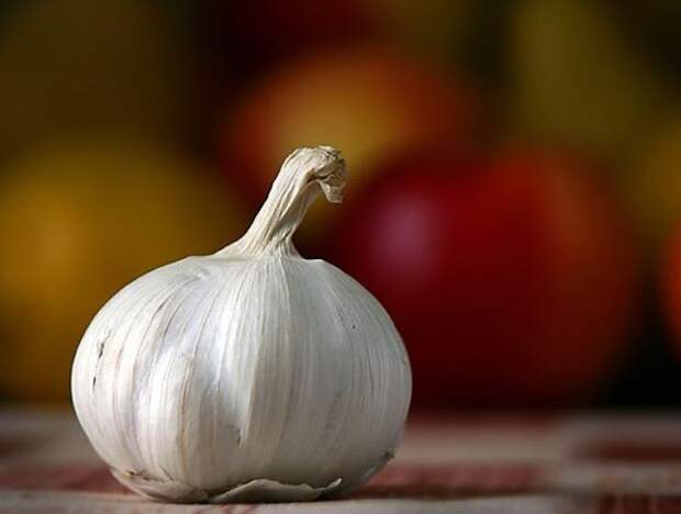 Секреты виртуозной очистки и нарезки продуктов Секреты виртуозной очистки и нарезки продуктов кулинария, советы