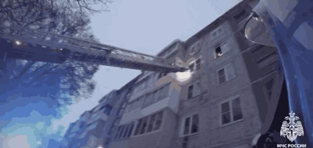 Во время пожара в жилом доме в Новомосковске спасатели эвакуировали двух человек и спасли кошку