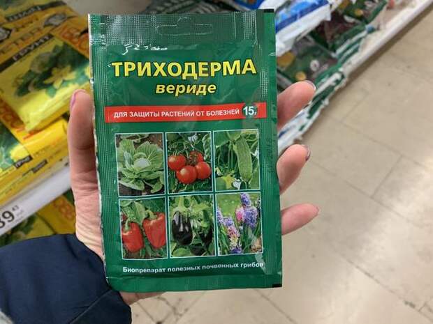 Триходерма вериде