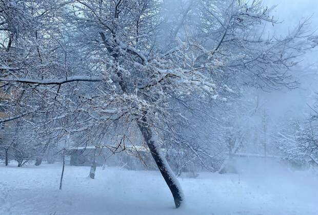 Погоду в Петербурге 11 февраля будет формировать циклон "Тамара"