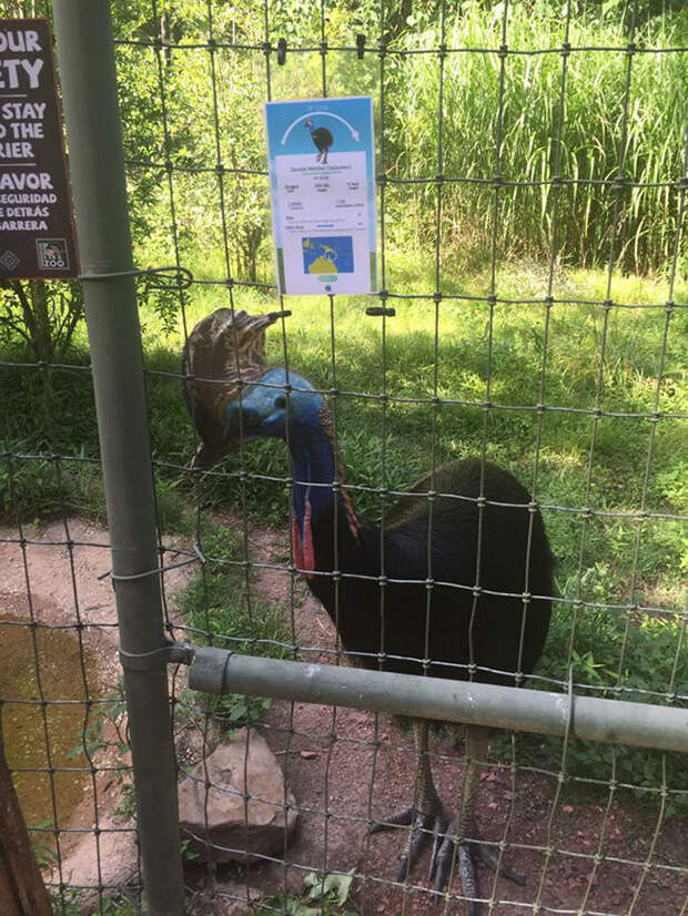 pokemon-go-zoo-signs-zookeeper-problems-1