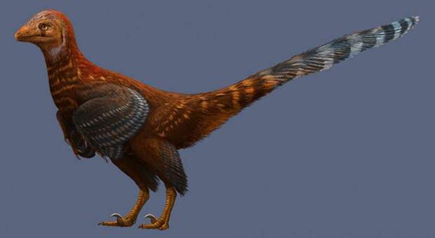 В Китае найдены останки покрытого перьями динозавра