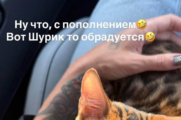 Блогерша Настя Ивлеева сообщила, что завела второго кота