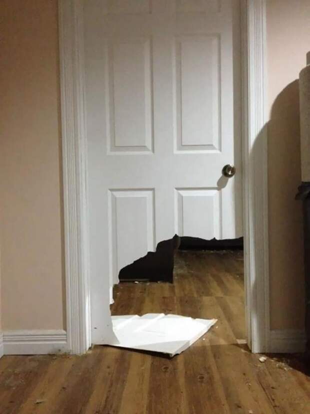 Фотография: 25 людей, которые оставили своих пушистых дома одних и горько пожалели об этом №21 - BigPicture.ru