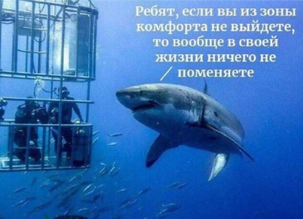 Яндекс-картинка