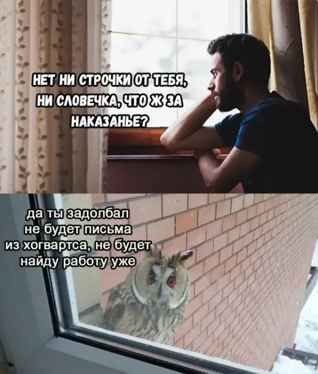 Настоящая любовь не боится ничего. Даже регистрации брака Настоящая любовь не боится ничего. Даже регистрации брака февраля, ничего, выходи, влюбленных, мужчина, против, Святого, передумаешь, когда, сегодня, Валентина, получит, Аптека, будет, женщина, подарок, мужчины, пилить, лечусьНа, любовника