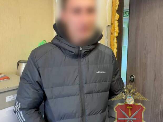 Туляк-маркетплейс-менеджер арестован по подозрению в мошенничестве на 1,2 млн рублей