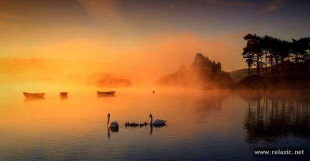 nature_010