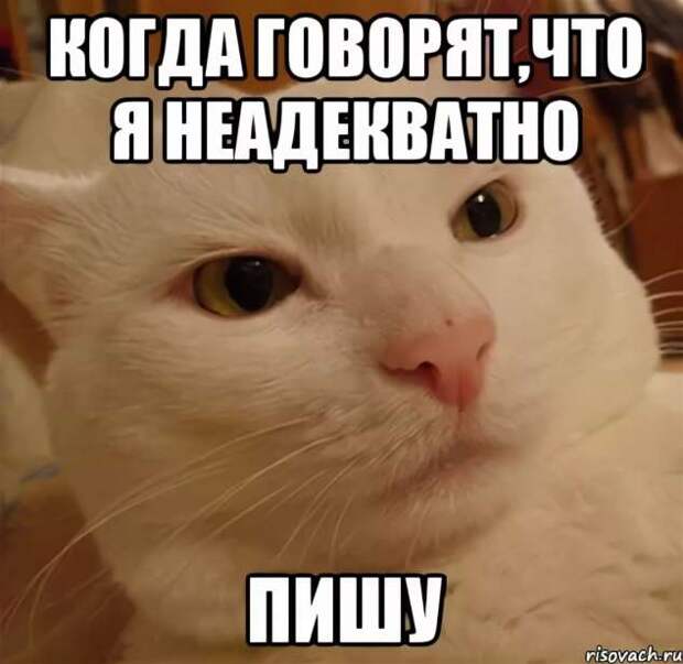Неадекватный юмор из социальных сетей. Подборка chert-poberi-umor-chert-poberi-umor-01290614122020-11 картинка chert-poberi-umor-01290614122020-11