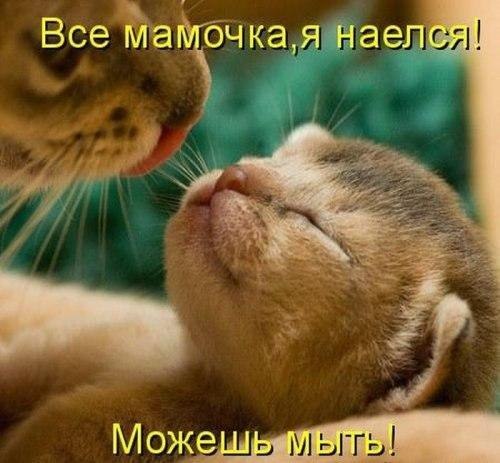 tuzjnFdN3wY