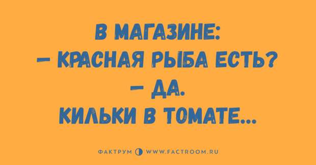 Топ 10 славных анекдотов, достойных вашего звонкого смеха