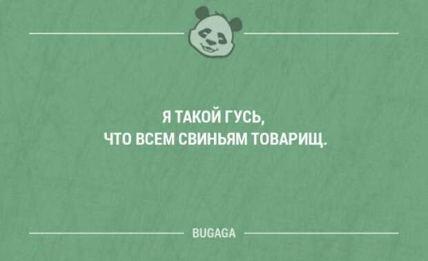 Смешные мысли и короткие анекдоты. Часть 65 (17 шт)