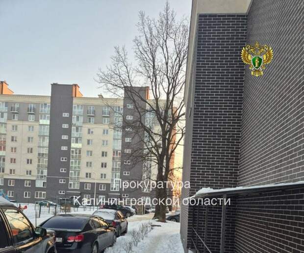 Наледь стала причиной травмы ребенка во дворе дома в Калининграде