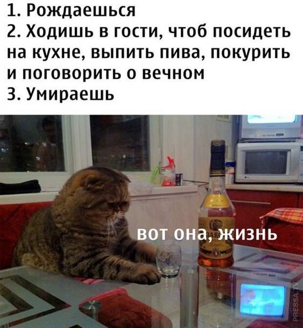 Алкопост на вечер этой пятницы