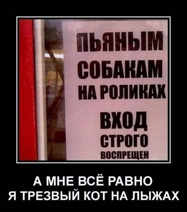 Демотиваторы (30 фото)