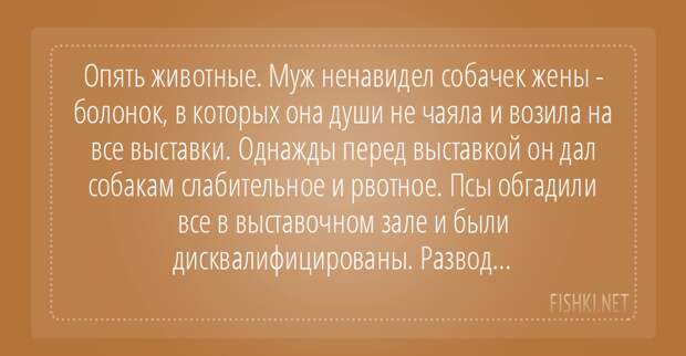 Развод - был бы повод! подслушано, развод, странное, удивительное