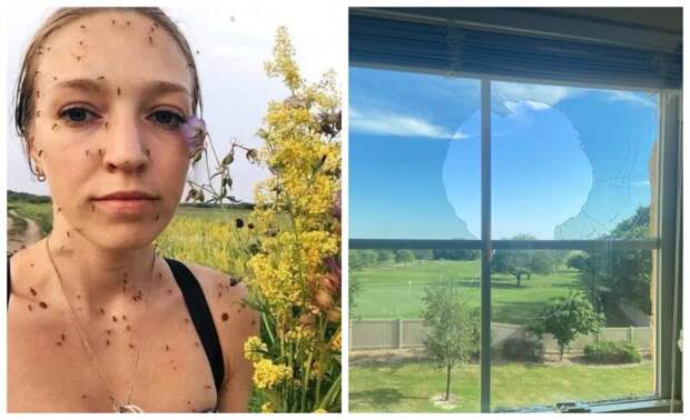 22 фото о том, что на самом деле значит фраза «выдался неудачный день»