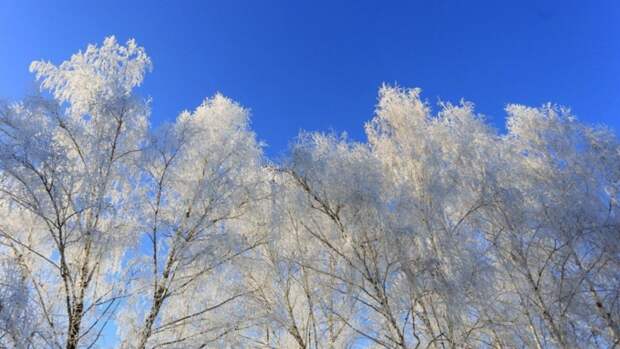 Морозы до -39 градусов и снегопады прогнозируются в ряде регионов Сибири