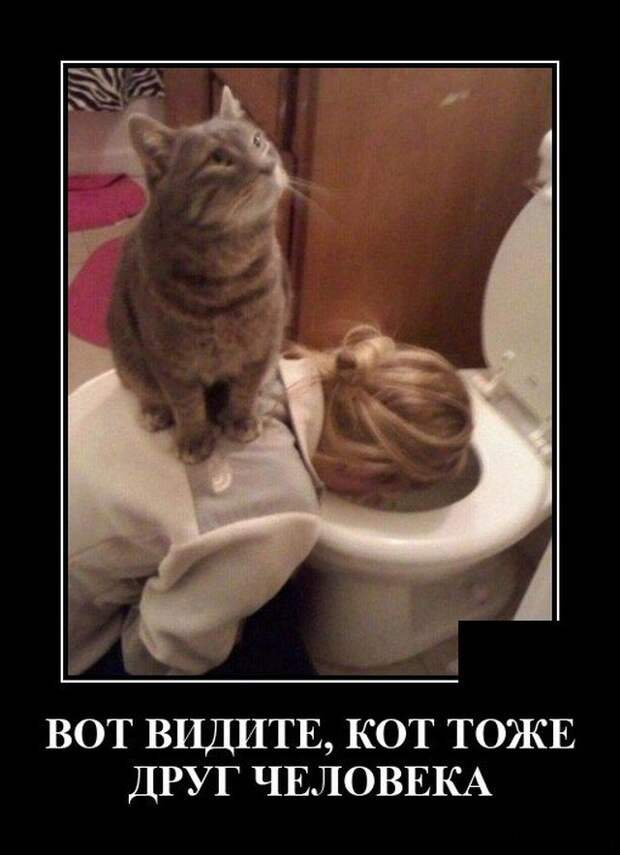 Демотиватор про друга человека