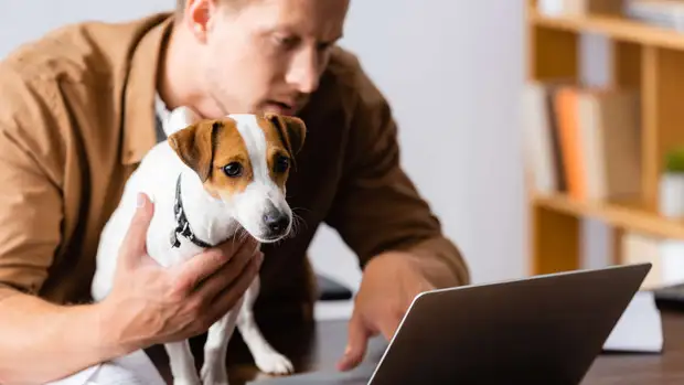 В Госдуму внесен законопроект об упрощении трудоустройства иностранных ИТ-специалистов