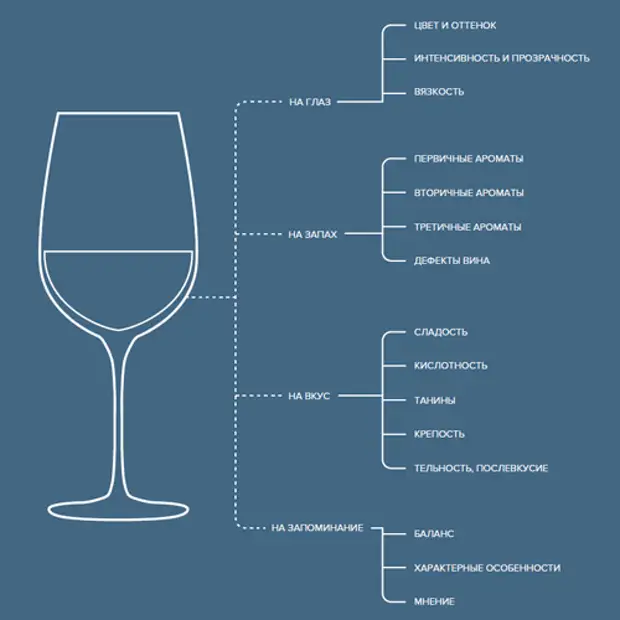 Передаваясь аромату вина. Характеристики вина при дегустации. Дефекты вина. Чья вина.