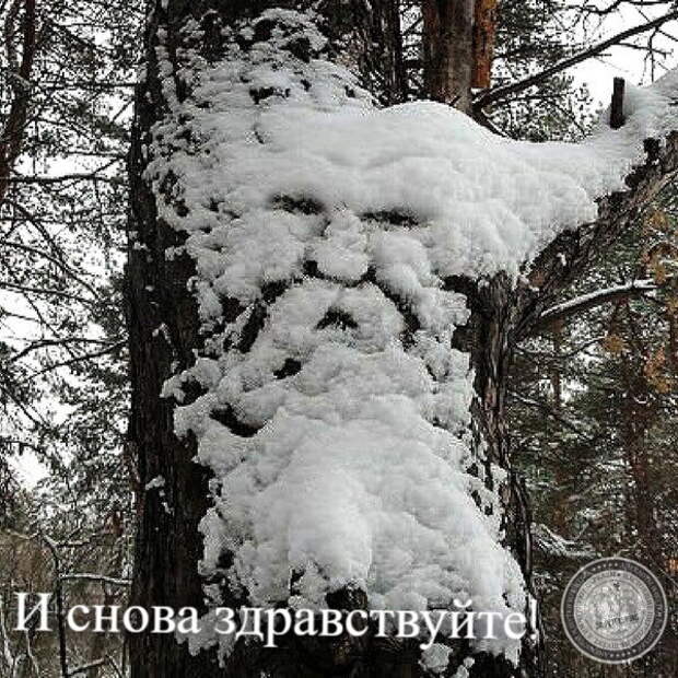 И снова здравствуйте