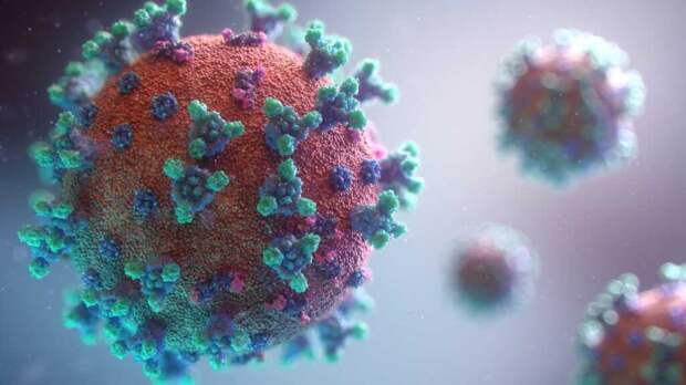 В Африке обнаружили новый опасный штамм коронавируса со множеством мутаций