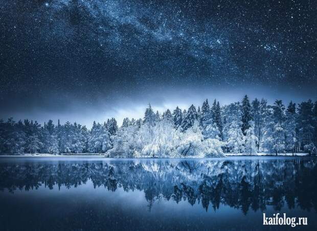 Реальная красота (60 фото)