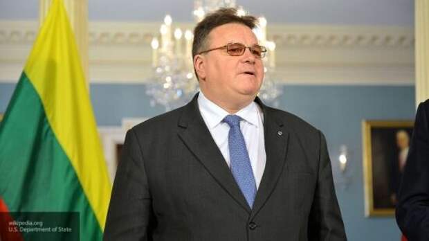 Литва попыталась вставить палки в колеса диалога Прибалтики с Россией