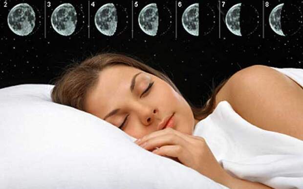 dream0117-5.jpg