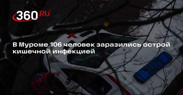 В Муроме 106 человек заразились острой кишечной инфекцией