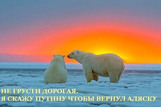 post-3-0-49436500-1467409557.png