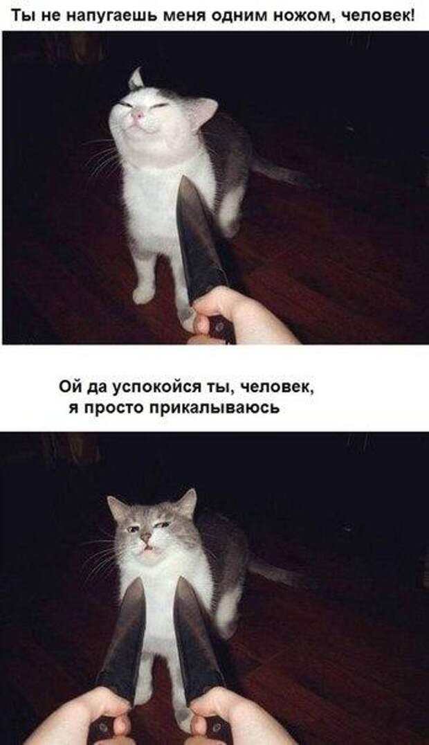 nQIFYWr7uEY