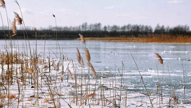 Житель Челябинской области предлагает туристам услугу зимних сплавов по реке