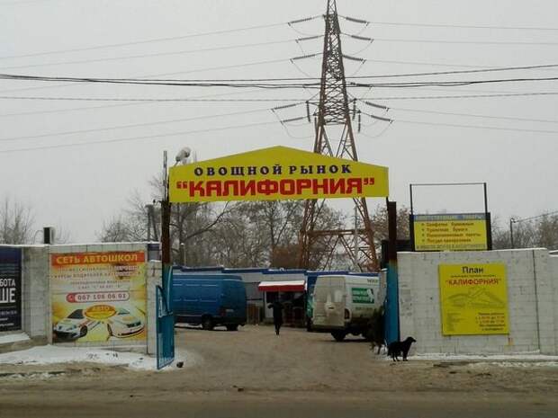 О рыночной романтике можно говорить долго, но лучше - смотреть базар, еда, маркетинг, покупатель, прикол, продавец, рынок, юмор