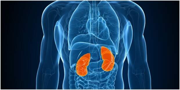 Диагноз на лицо