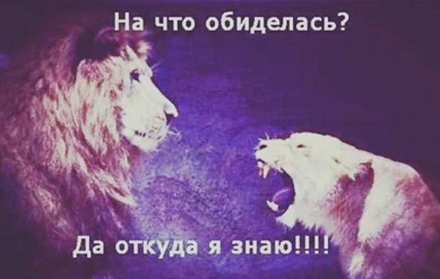 Девушка, давшая обещание не есть после шести, выпила котлету.