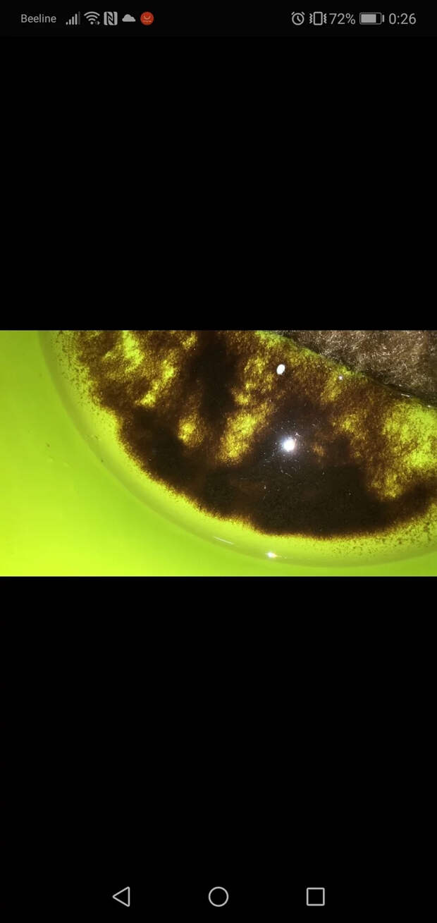 Коричневая жижа вместо воды... ЖКХ, Чиновники, Отписка, Вода из крана, Беспредел, Домодедово, Длиннопост, Негатив, Скриншот