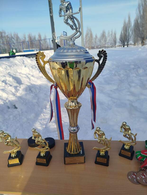 Кама Тамагы Үзәк стадионында Рафис Сабирҗанов Кубогына хоккей турниры узды